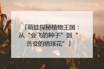 萌娃探秘植物王国：从“会飞的种子”到“善变的绣球花”